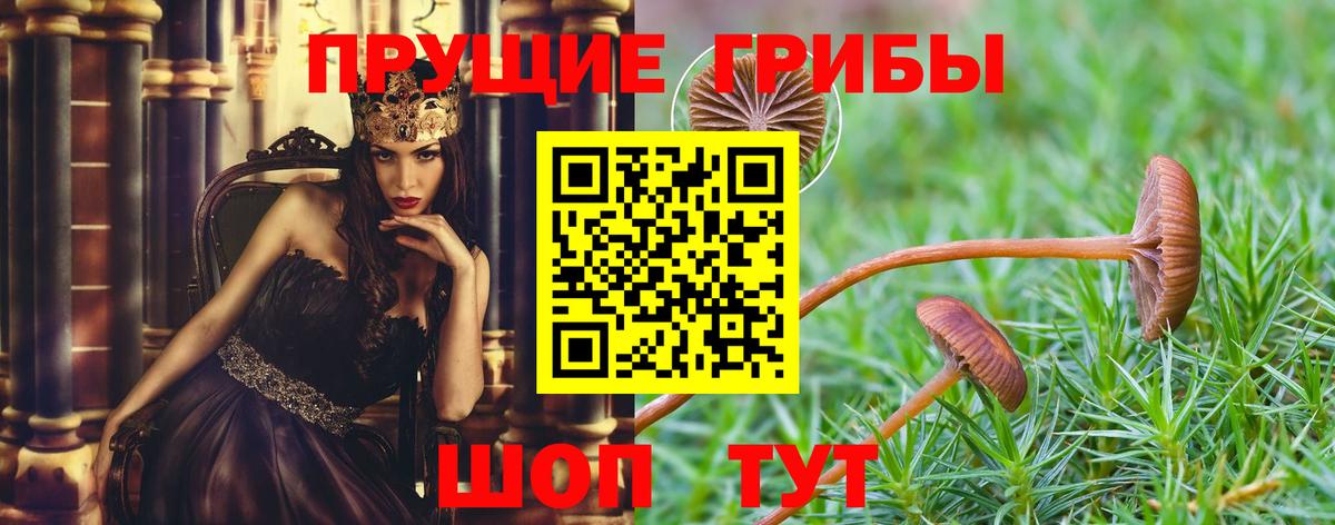 Галлюциногенные грибы мухоморы Лабинск
